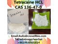 hot-sale-tetracaine-hcl-powder-cas-136-47-0-small-2