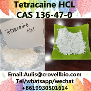 hot-sale-tetracaine-hcl-powder-cas-136-47-0-big-2